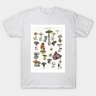 Mushroom and Fungi T-Shirt